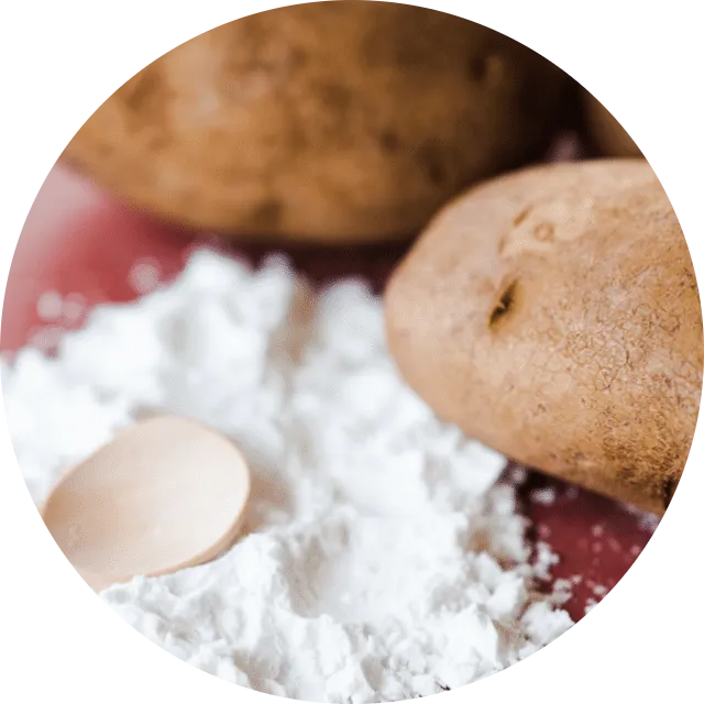 100% Plant-Based Formula